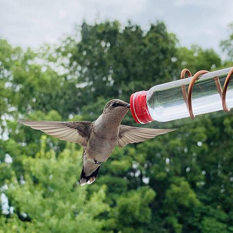Easy Clean Hummingbird Feeder – Suction Cup Bird Drinker for Garden and Deck Wild Birds