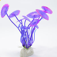 Lotus leaf purple
