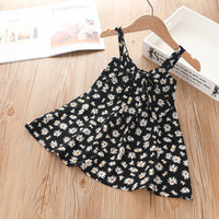 Black daisy
