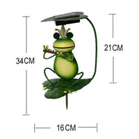 Frog playing the flute