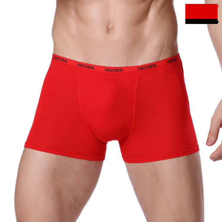 Men's Underwear Men's Boxer Briefs Bamboo Fiber