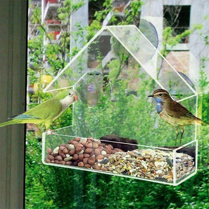 Clear Acrylic Bird Food Bowl with Strong Suction Cup for Outdoor and Indoor Window Feeding