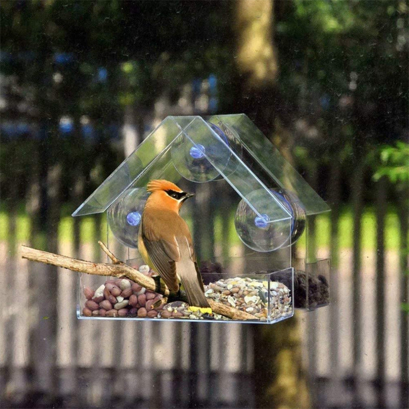 Clear Acrylic Bird Food Bowl with Strong Suction Cup for Outdoor and Indoor Window Feeding