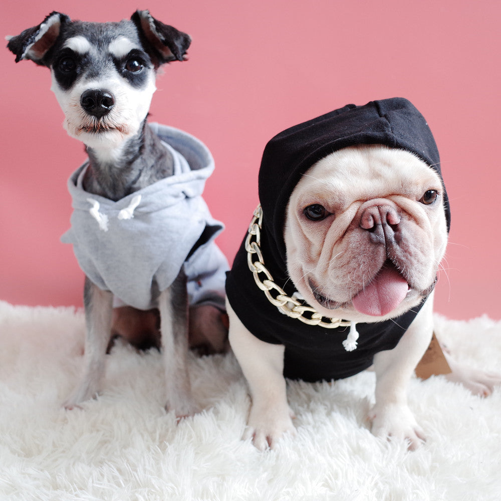 Hooded Pet Summer Vest with Letter Print