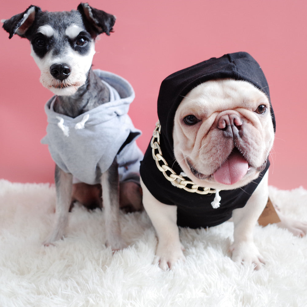 Hooded Pet Summer Vest with Letter Print
