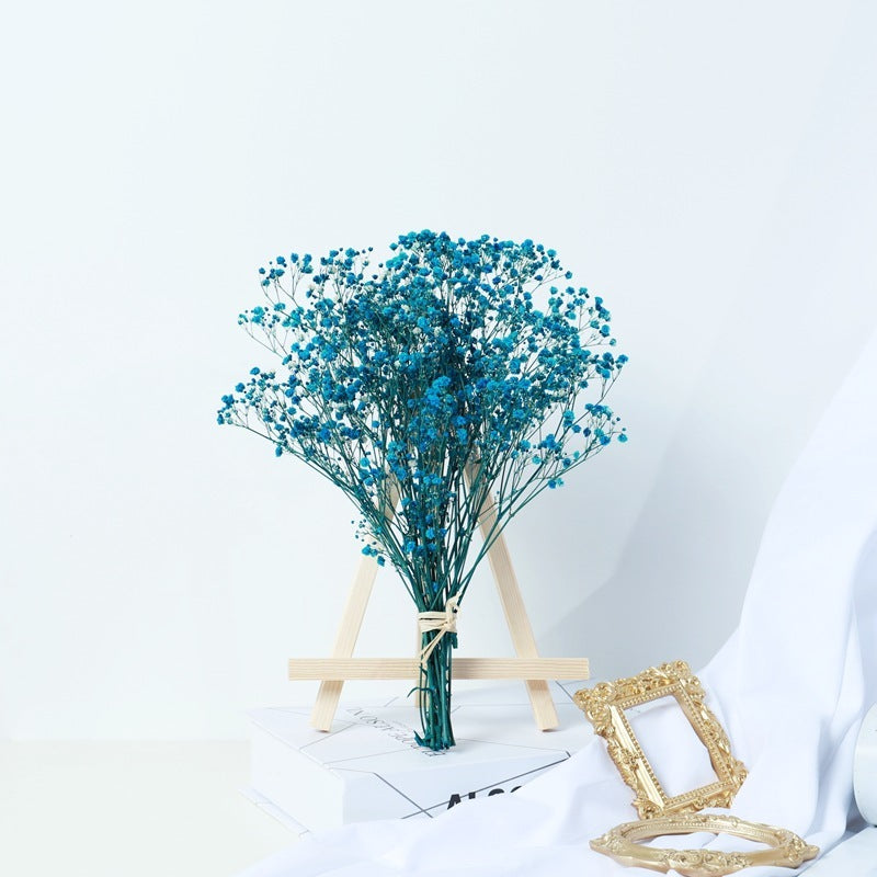Gypsophila Dried Flower Bouquet – Air-Dried Real Flowers for Home Decor