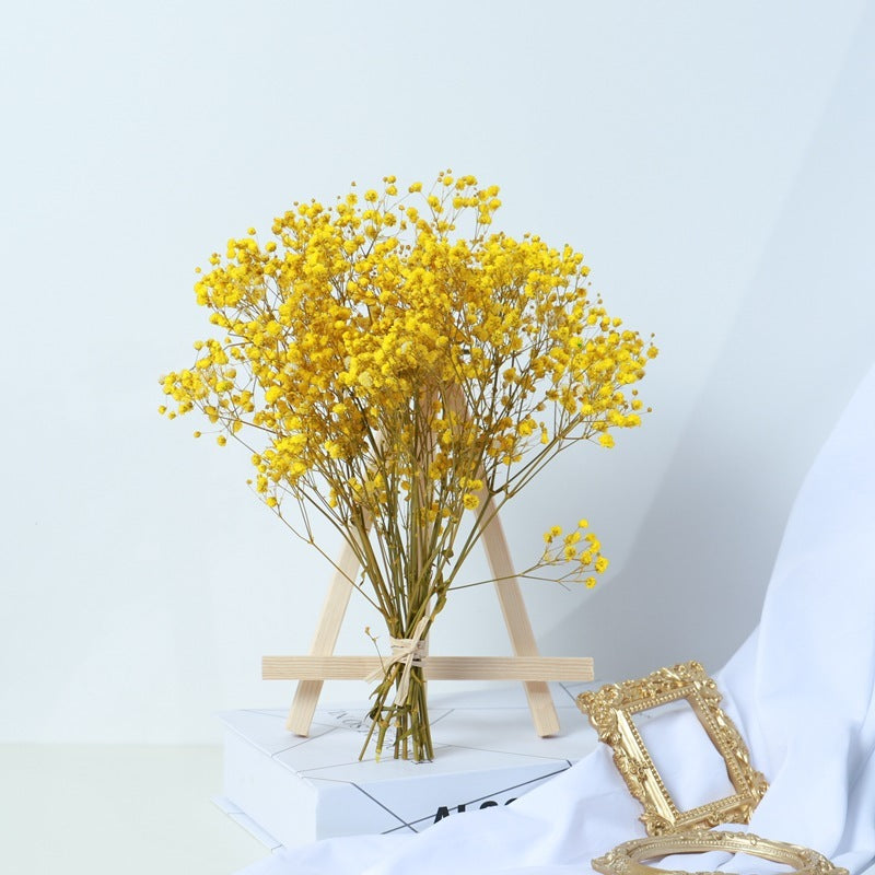 Gypsophila Dried Flower Bouquet – Air-Dried Real Flowers for Home Decor