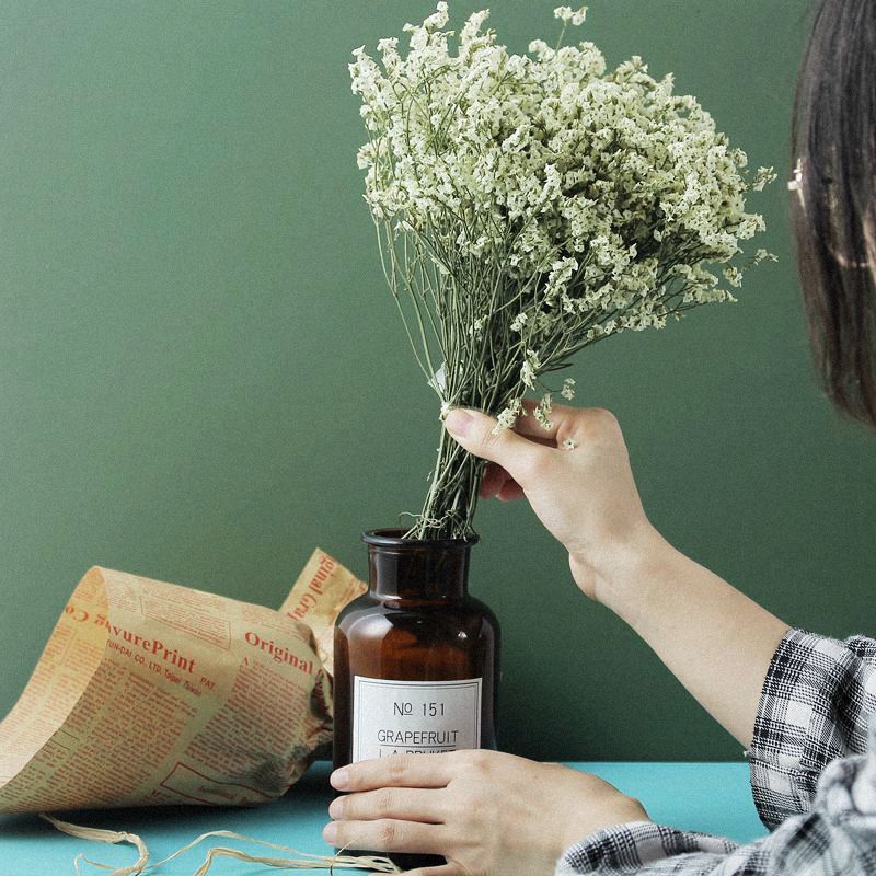 Gypsophila Dried Flower Bouquet – Air-Dried Real Flowers for Home Decor