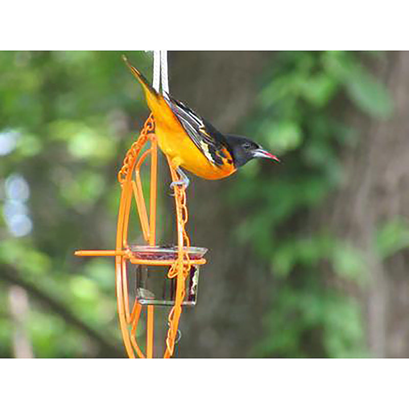 Oriole Bird Feeder – Outdoor Metal Hanging Orange Fruit and Jelly Feeder with Drinking Cup for Wild Birds and Hummingbirds
