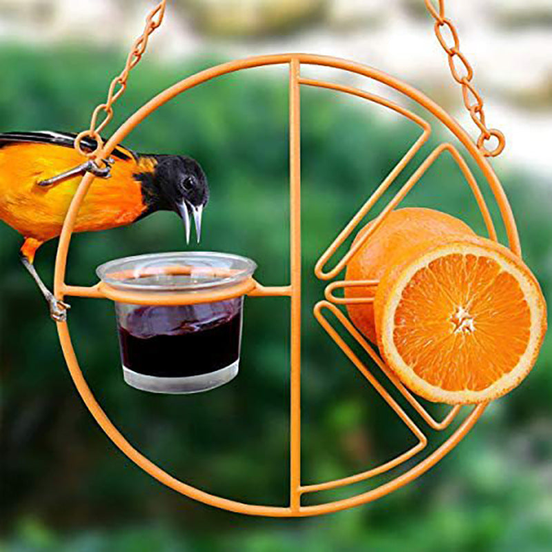 Oriole Bird Feeder – Outdoor Metal Hanging Orange Fruit and Jelly Feeder with Drinking Cup for Wild Birds and Hummingbirds