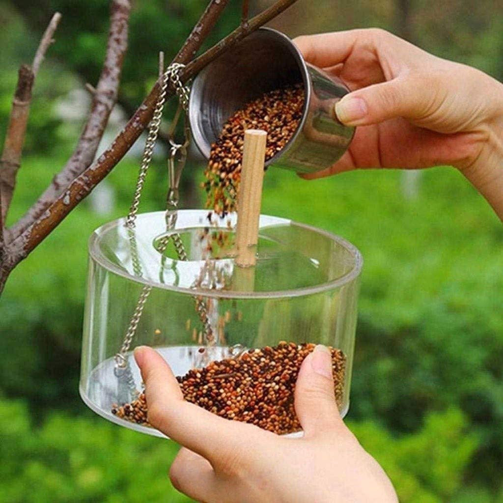 Acrylic Bird Food Feeder Box for Parrots and Small Birds