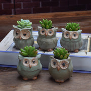 Owl Shape Garden Flower Pot Desk Plant Pot Creative Design