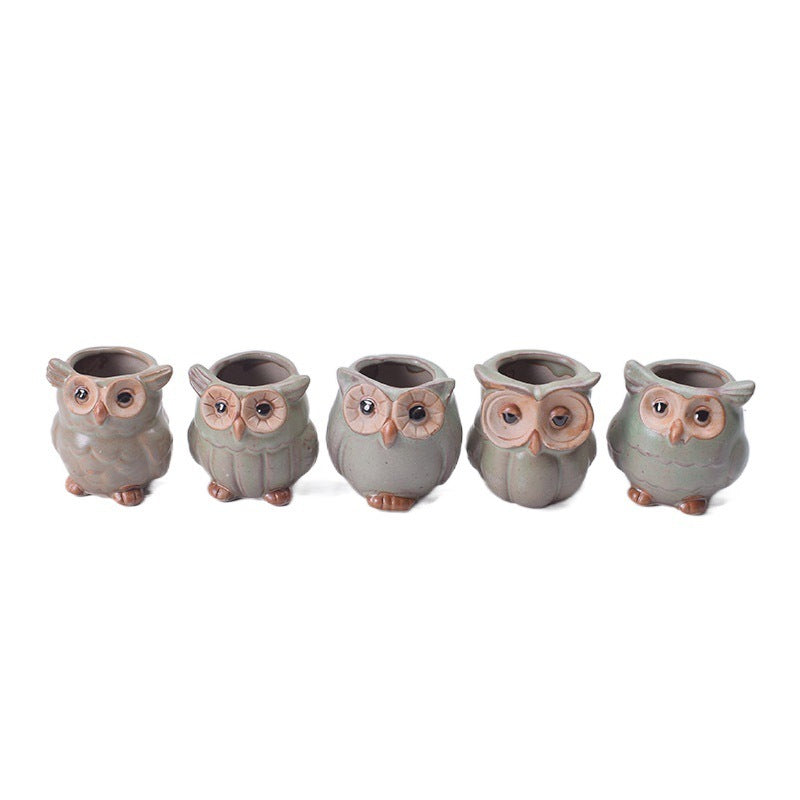 Owl Shape Garden Flower Pot Desk Plant Pot Creative Design