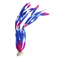 Kelp purple