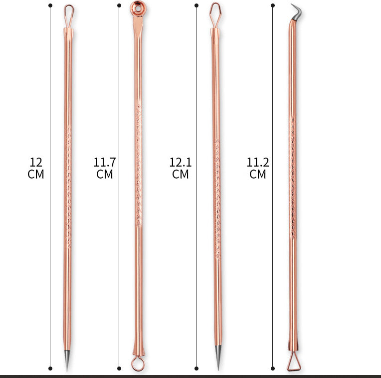 Double-Headed Facial Beauty Needle Set – 4-Piece Blackhead & Acne Extractor Kit