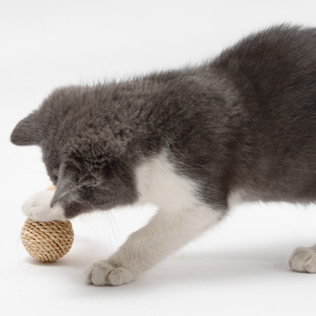 Rattan Bell Ball Feather Sepak Takraw Funny Cat Toy