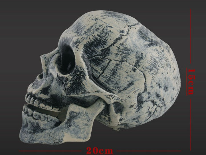 Halloween Skeleton Prop – Realistic Plastic Human Body Decoration for Haunted House and Secret Room