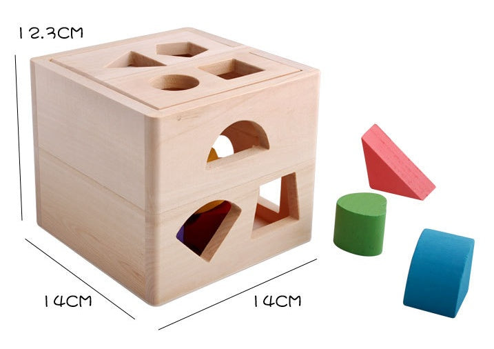 Thirteen Hole Intelligence Box