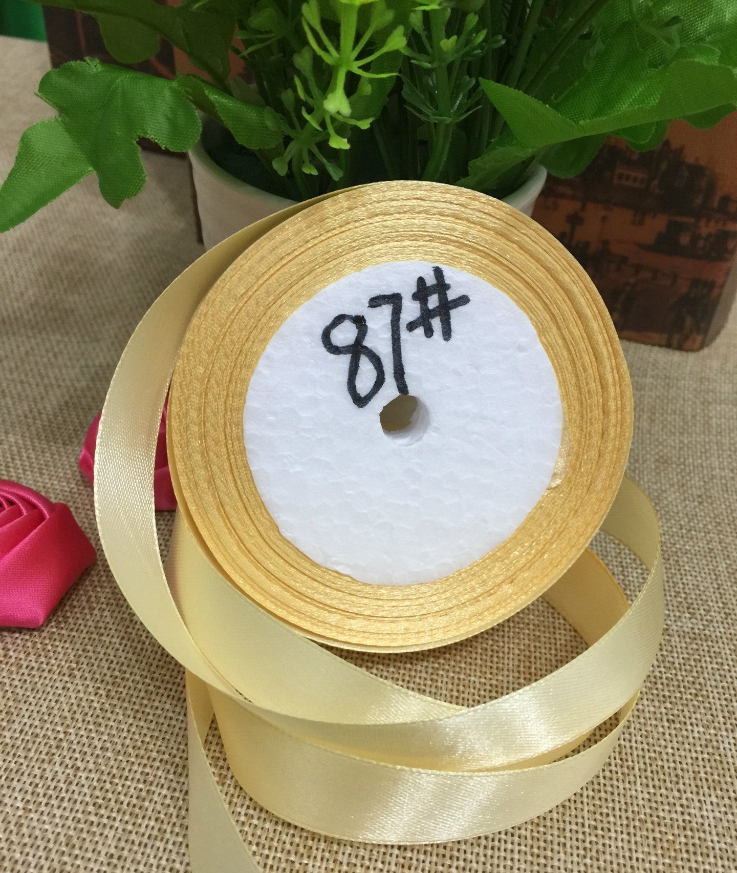 2.5cm Single-Sided Polyester Ribbon Webbing