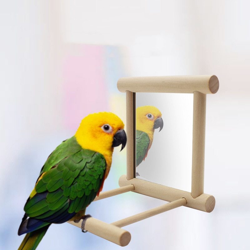 Bird Stand with Mirror Perch Toy