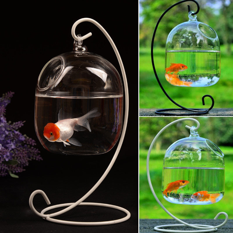 Transparent Glass Aquarium