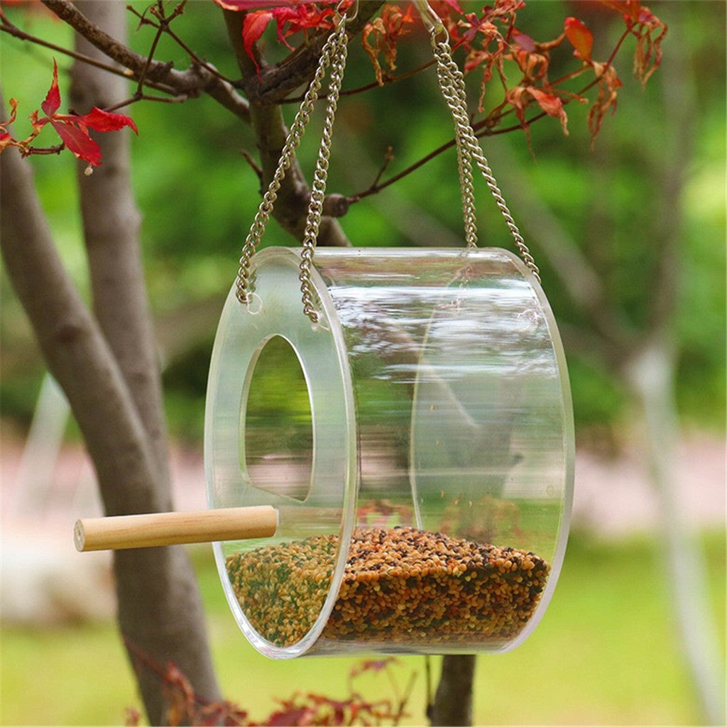 Acrylic Bird Food Feeder Box for Parrots and Small Birds