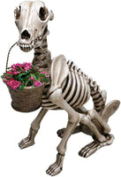 Skull Beast