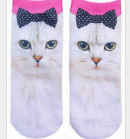 Bow cat