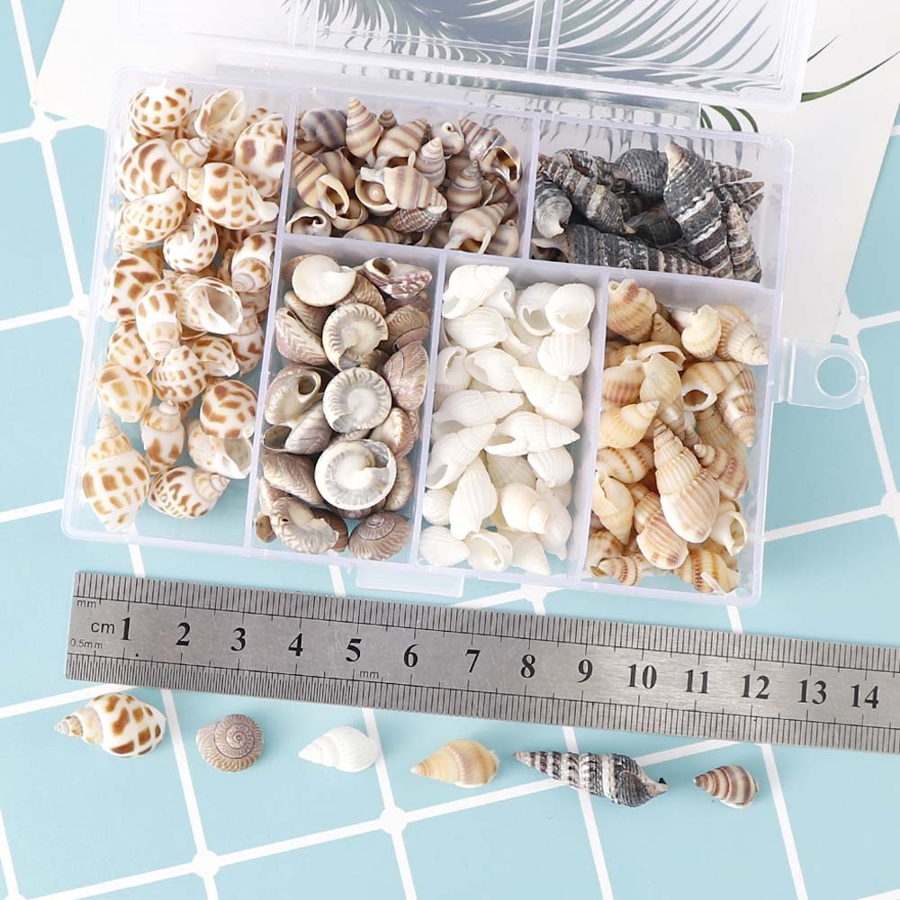 Mixed Natural Small Snail Aquarium Landscaping Fish Tank Micro Landscape Decoration