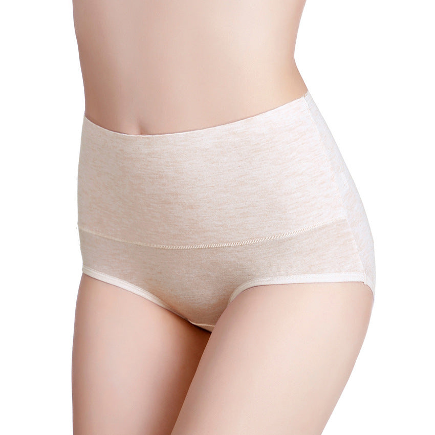 Women’s High-Waist Underwear – Seamless Control Briefs