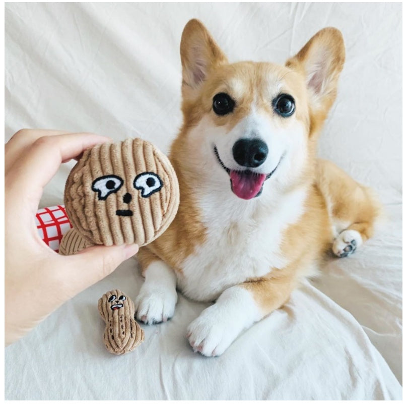 Interactive Korean Walnut and Peanut Sounding Hidden Food Sniffing Toy for Dogs