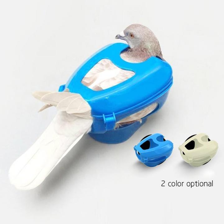 Plastic Racing Pigeon Holder Fixed Frame Medicine Feeder Rack – Light Blue
