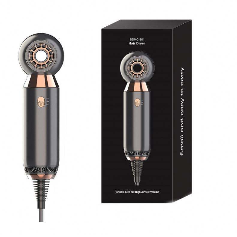 Leafless Hair Dryer 800W – 2-Speed Negative Ion Portable Salon Blower