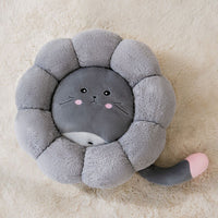 Grey chinchilla