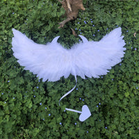 Feather Wings White