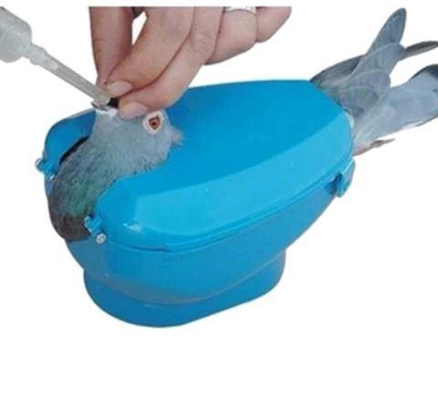 Plastic Racing Pigeon Holder Fixed Frame Medicine Feeder Rack – Light Blue