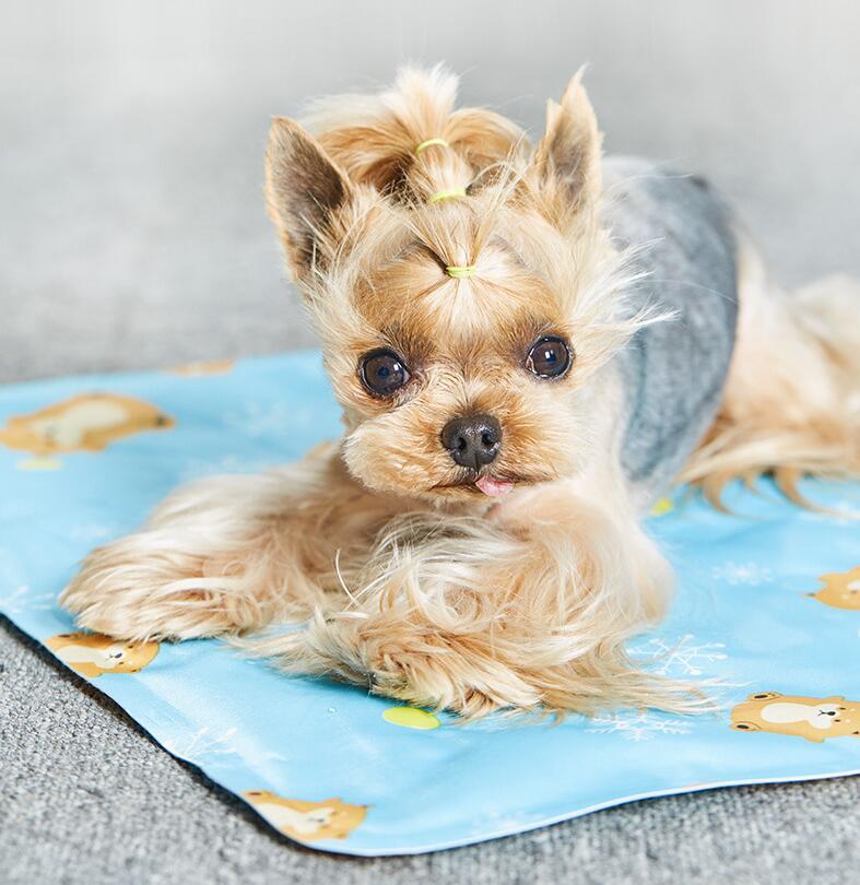 Summer Cooling Pet Mat
