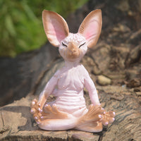 Meditating cat pink