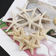 Handmade Diy Material Fish Tank Micro Landscape Starfish Jewelry