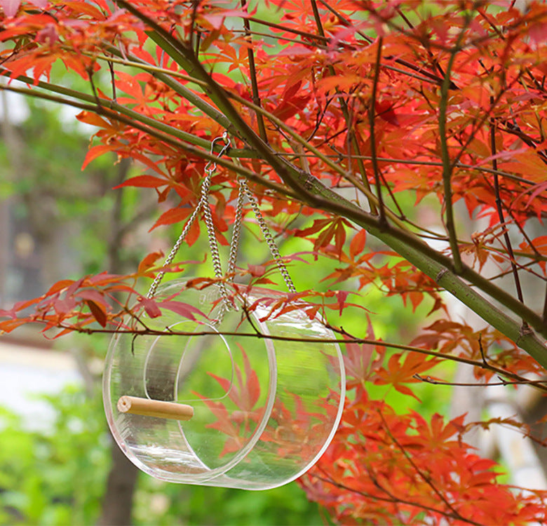 Acrylic Bird Food Feeder Box for Parrots and Small Birds