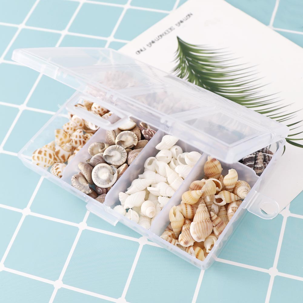 Mixed Natural Small Snail Aquarium Landscaping Fish Tank Micro Landscape Decoration