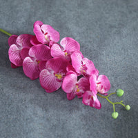 9heads long fuchsia