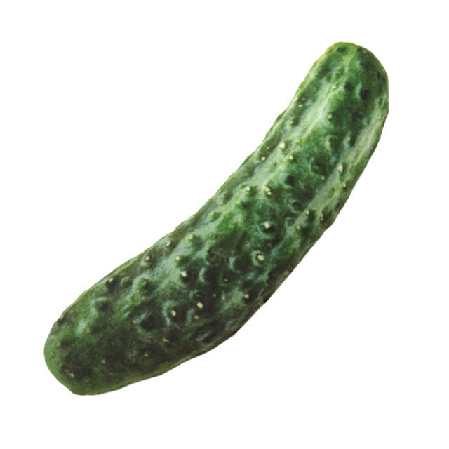 Squeaky Veggie & Drumstick Pet Chew Toy