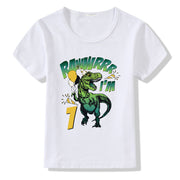 Kids Casual Polyester Regular Fit Birthday Number Tee