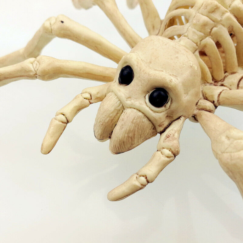 Halloween Horror Decorations – Scary Props for Haunted House, Party, and Outdoor Displays
