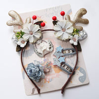 Ice and snow card