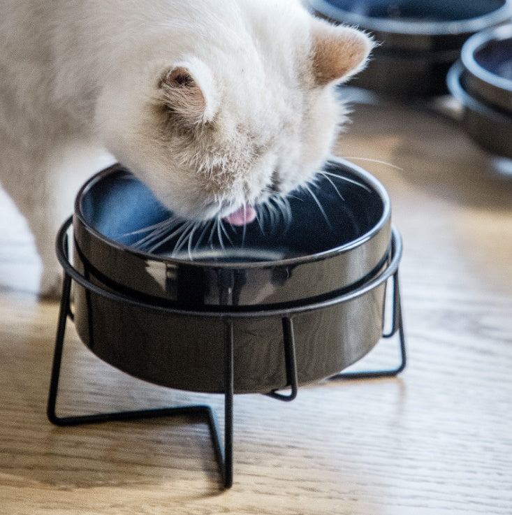 Protect The Cervical Spine Ceramic Pet Eating Bowl