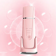 Ultrasonic Beauty Equipment Facial Skin Cleanser Importer