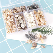Mixed Natural Small Snail Aquarium Landscaping Fish Tank Micro Landscape Decoration
