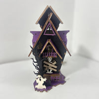 Luminous Haunted House